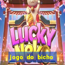 jogo do bicho preferida matinal